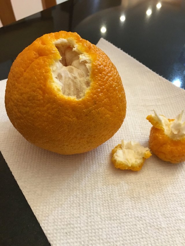 Sumo oranges for Valentine's Day — Steemit