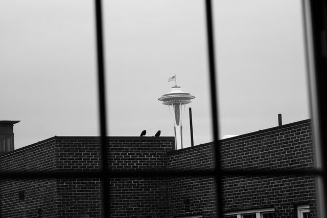 Seattle Apartment 005.JPG