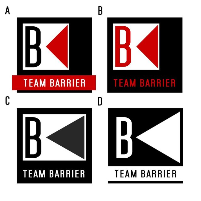 team barrier sheet.jpg