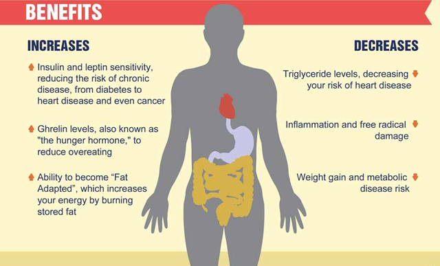 Intermittent-Fasting-Benefits.png