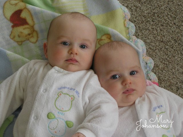 Identical-Twins-1.jpg