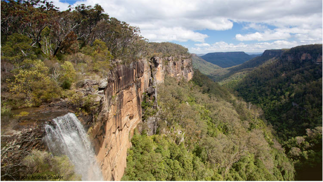 Fitzroy Falls.png