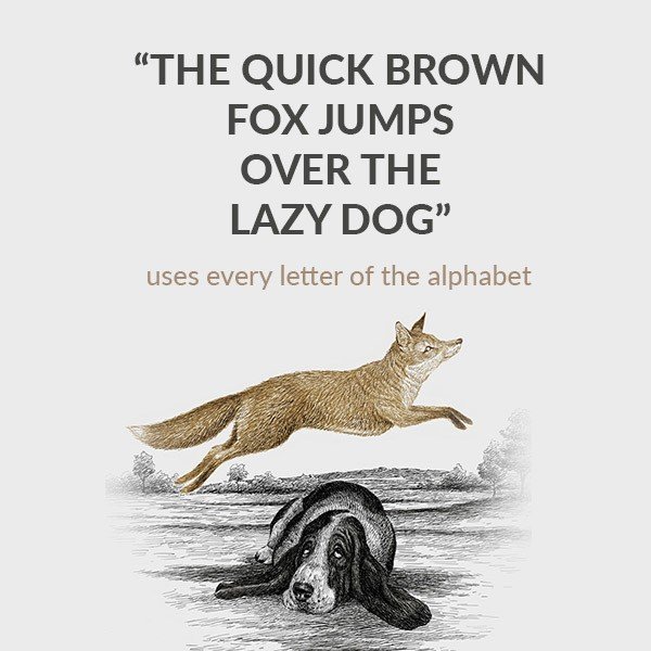 fox and dog.jpg