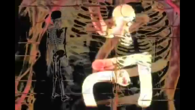 46D4EB76-01F1-4EBB-861E-E0E4F95FB97C.png