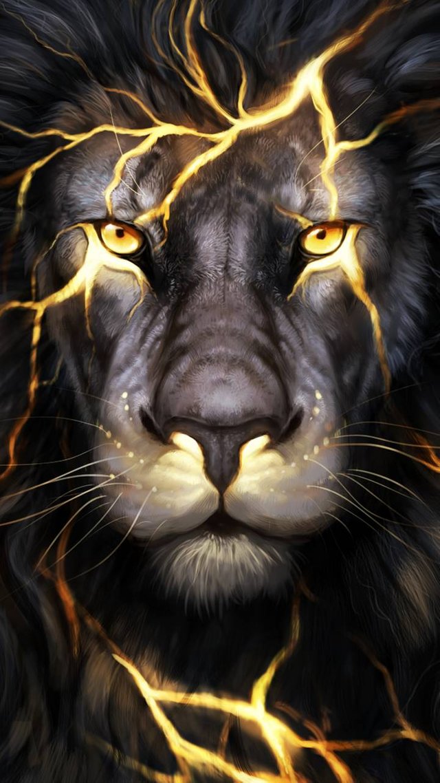 Lion-cee5f904-ae71-3da4-8a86-2b59fa06ce6d.jpg