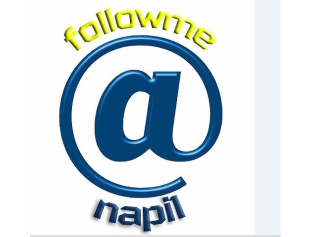 logo_NAPI1.jpg