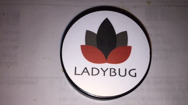 ladybug1.jpg