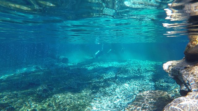 ginnie springs.jpg