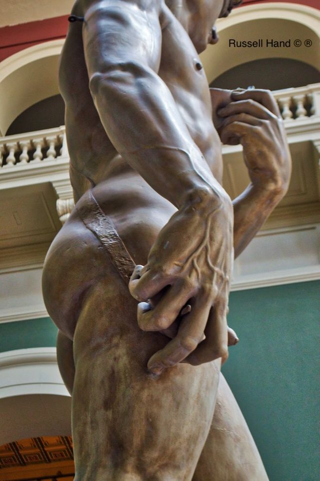 David 3.jpg
