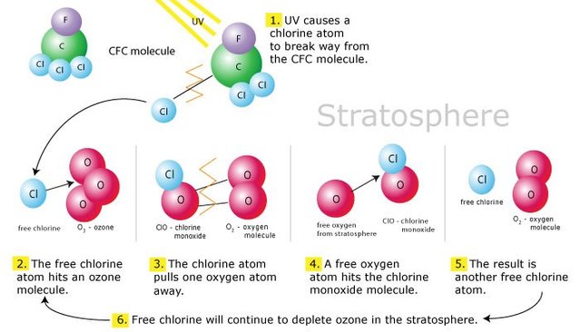 chlorine-catalyzed-ozone-depletion-mechanism.jpg