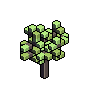 redmaple_sapling_earlysummer.iso.png