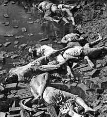 Dead_bodies_of_Bengali_intellectuals_1971.jpg