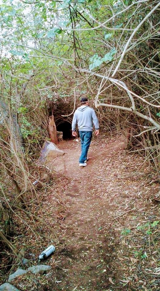 Trail to back.jpg