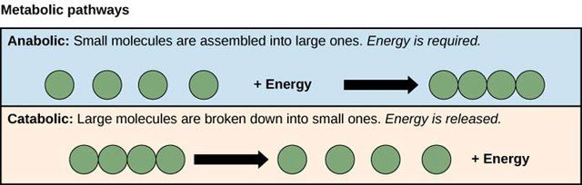 Figure_06_01_03-.jpg