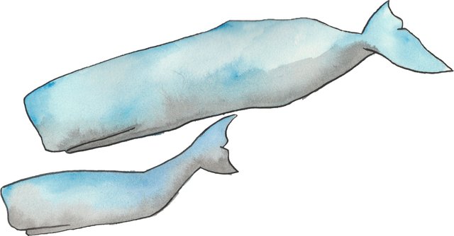 whales.jpg