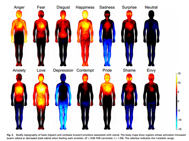 Body-Map-Study-Snip1.png