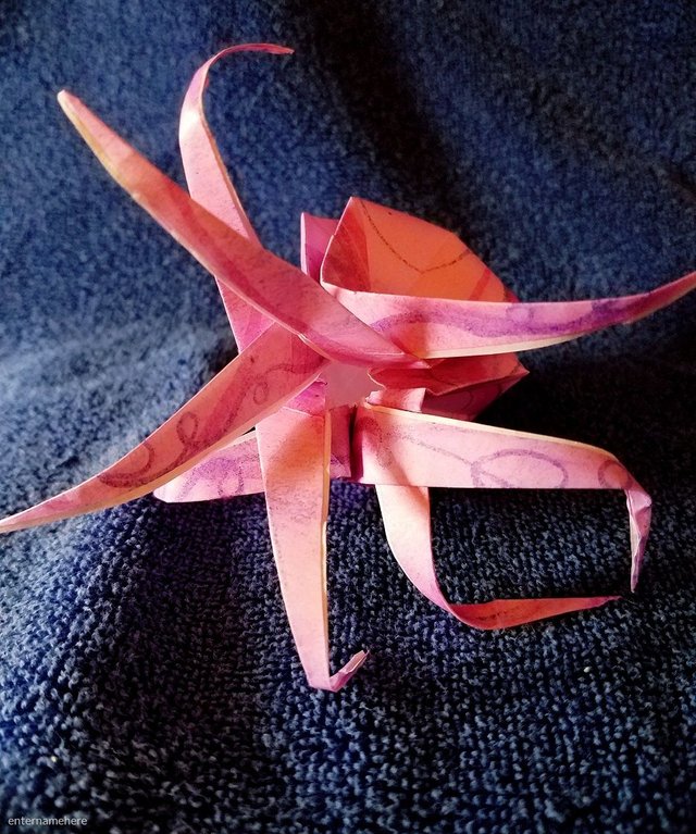 steemit-enternamehere-origami-journey-pink-octopus-underside.jpg