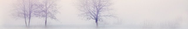 winter-landscape-2571788_1920.jpg