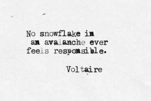 df7b14311115bce3a8b006f4f0a31a3c--avalanche-voltaire-quotes.jpg