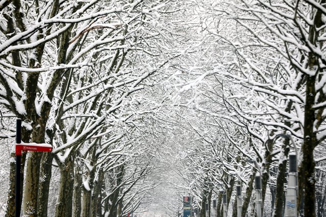 Paris 19e, le mercredi 7 février. Scène de neige dans le parc de la Villette à Paris . LP Yann Foreix.JPG