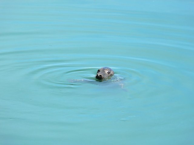 Howth 009_DxO.jpg