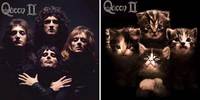 This-guy-created-very-cute-covers-of-the-music-world-replacing-singers-with-cats-5a2e805f632f4__700.jpg