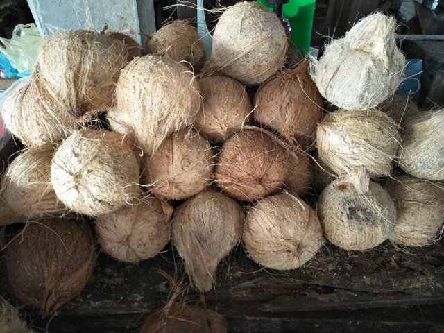 kelapa 1.jfif