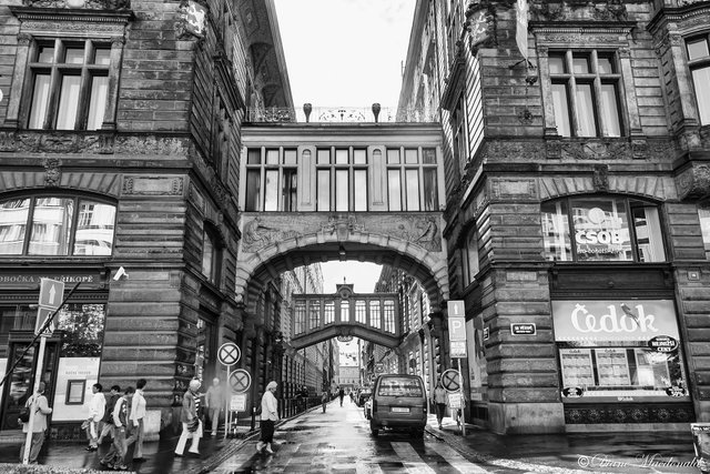 bridges connecting buildings.jpg