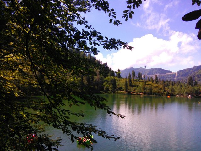 IMG_6013.JPG