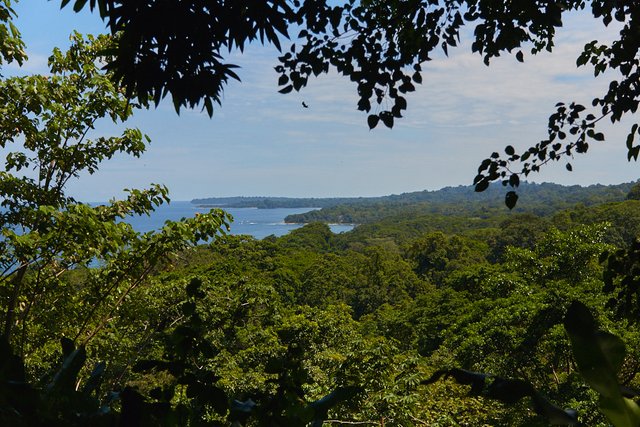 #2 Delicious chocolate and beautiful views from Costa Rica