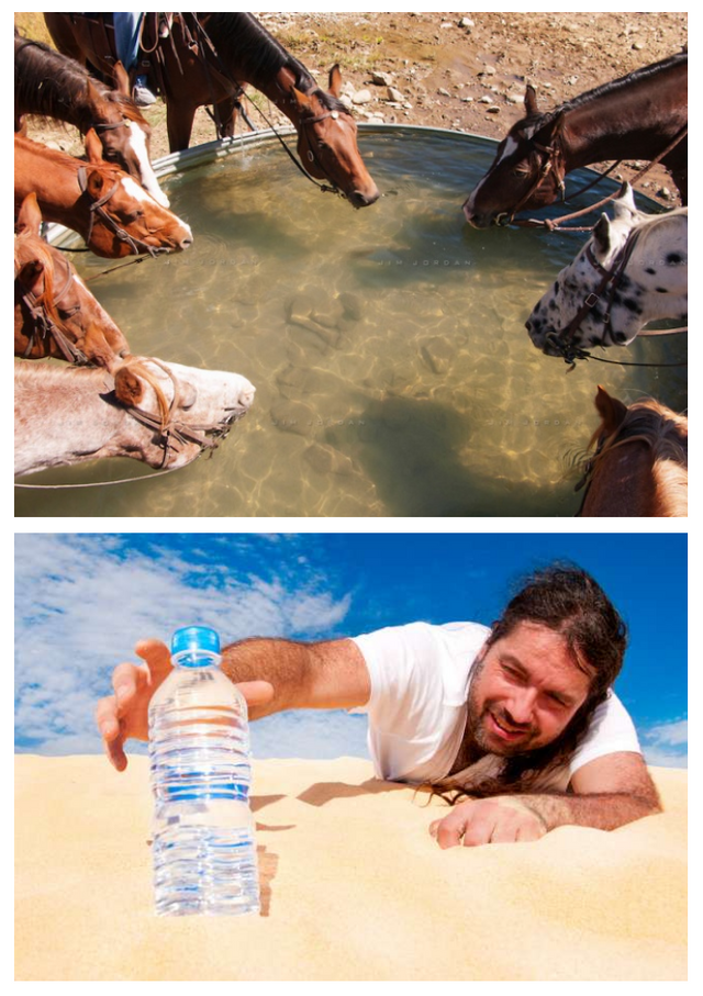 Horse To Water.PNG