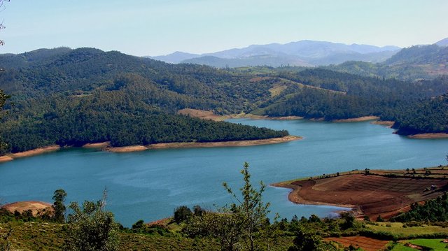 Emerald_Lake_Nilgiris.jpg