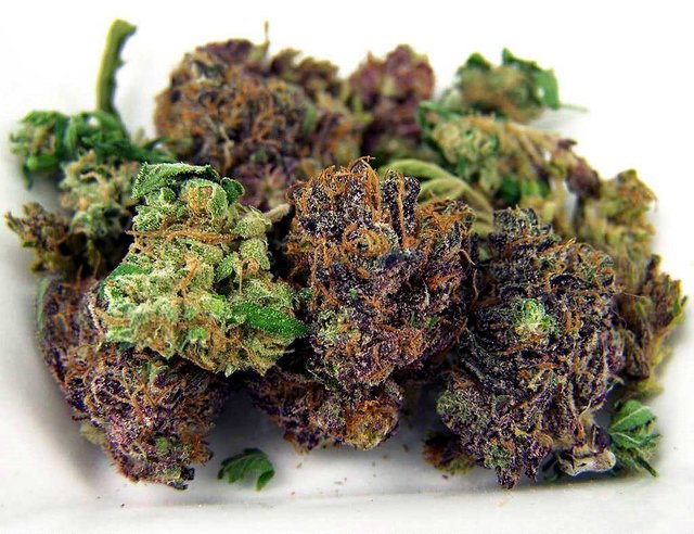purple-green-cannabis-bud.jpg