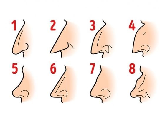 La forma de tu nariz revela ciertos rasgos de tu personalidad.jpg
