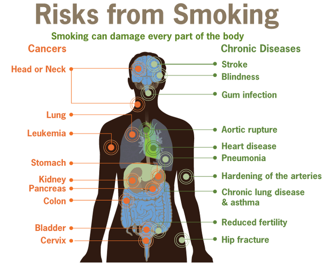 SERO-Smoking-Article-Image-710x575.png