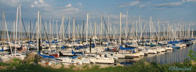 Small-Sailboats.jpg