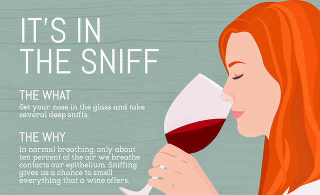 Sniff Wine LNL.png