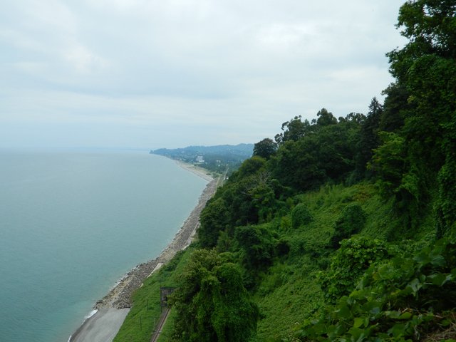 Batumi Botanical Garden4.JPG