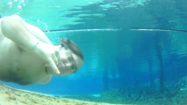 Swimming at Weeki Wachee Springs.jpg