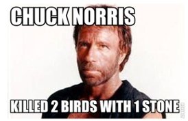 chucknorrisfacts_258949.jpg