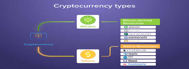 rsz_cryptocurrency-coin-vs-token-1.png