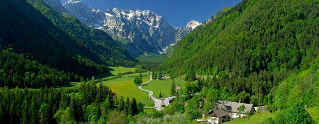 Logarska-dolina-retusa.jpg