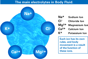 electrolytes.png