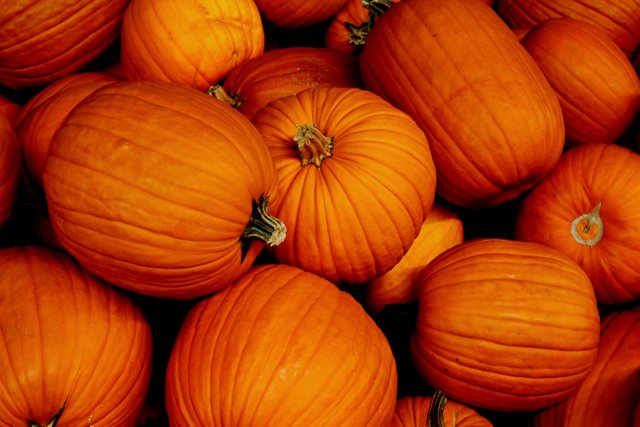 pumpkin-2886724.jpg