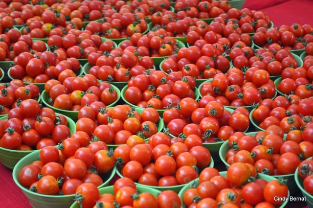 tomatoes-in-baskets.jpg