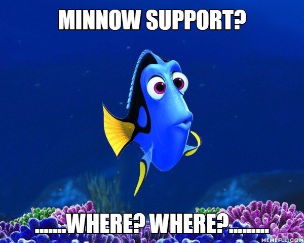 minnow-suport-Forgetful-Fish-Dory.jpg