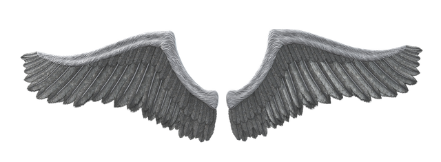 wing-3235472_1920.png