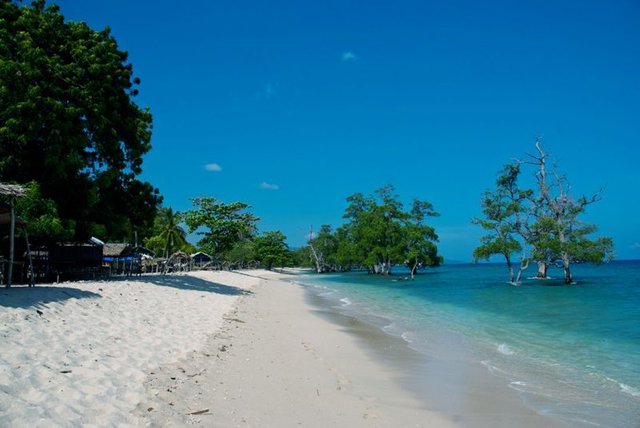 Pantai Pasir Putih (2).jpg