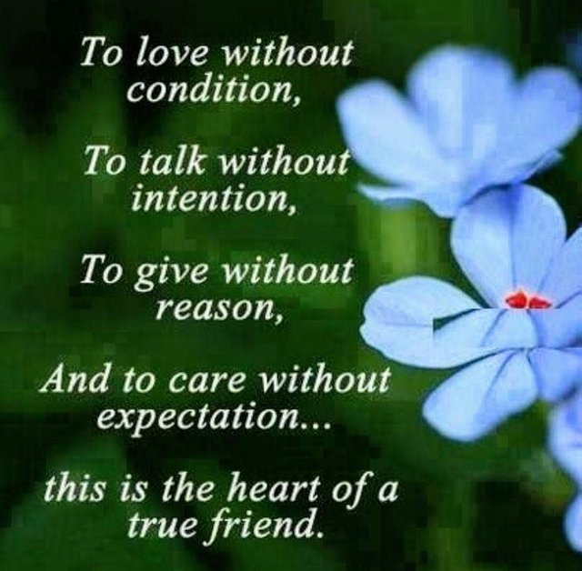 322564-To-Love-Without-Condition....jpg