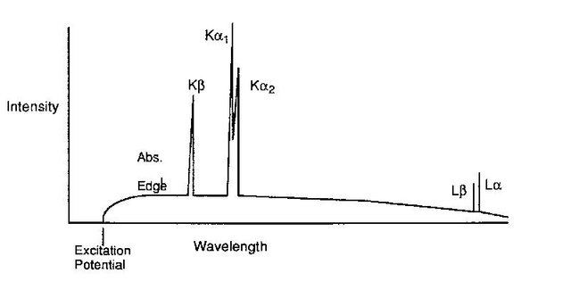 5xpec2.jpg